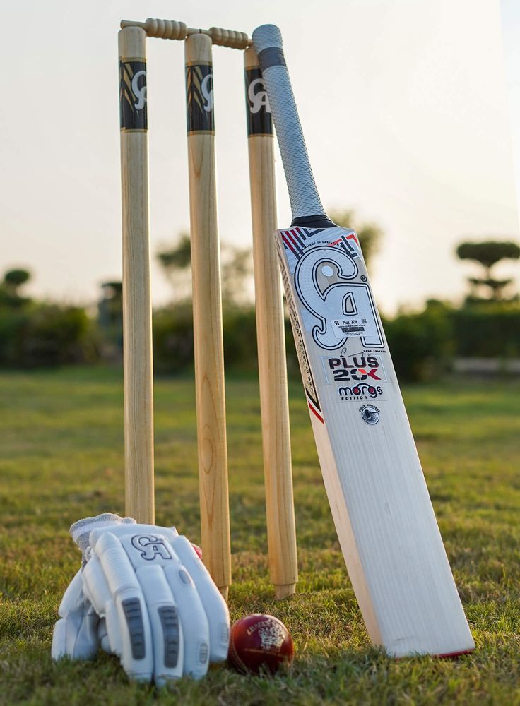 Cricket bat